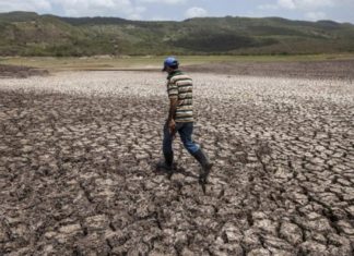 Propuesta sobre readecuación de deuda no tendrá eco, asegura experto en cambio climático