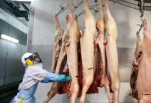 Costa Rica anuncia que venderá carne de cerdo a China