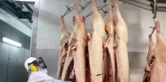 Comerciantes avisan de un aumento a precio de carne de cerdo pese a congelamiento