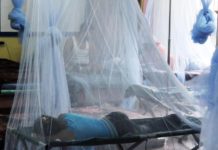 Suben a 172 los muertos por dengue en Honduras