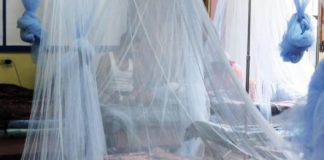 Suben a 172 los muertos por dengue en Honduras