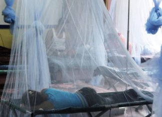 Suben a 172 los muertos por dengue en Honduras