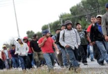 Solo el 0,1 % de los migrantes regresados a México obtienen asilo en EE.UU.