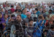 Más de 235.000 desplazados en noroeste sirio por recientes combates, dice ONU