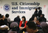 Más de 50 alcaldes piden fin al plan de alzas de trámites migratorios en EEUU