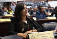 A finales de enero se tendrá el dictamen de la ley del Consejo Nacional Electoral