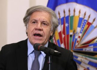 EE.UU. respalda a Almagro para la reelección al frente de la OEA