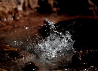 Cociendo alimentos en aguas termales de la aldea hondureña de Azacualpa