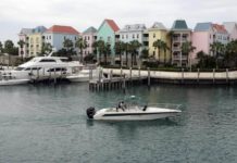 Buscan candidatos para vivir dos meses gratis en Bahamas protegiendo la naturaleza