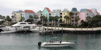 Buscan candidatos para vivir dos meses gratis en Bahamas protegiendo la naturaleza