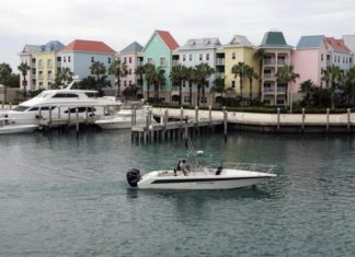 Buscan candidatos para vivir dos meses gratis en Bahamas protegiendo la naturaleza