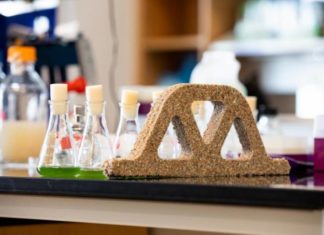 Hormigón «vivo» y ecológico hecho a base de bacterias y arena