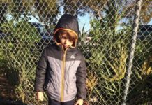 Ola de frío en Florida cierra parques temáticos y causa «lluvia de iguanas»