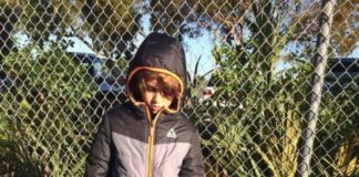 Ola de frío en Florida cierra parques temáticos y causa «lluvia de iguanas»