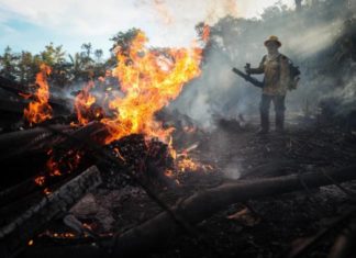 La Amazonía podría pasar de aspirador de CO2 a emisor del gas contaminante