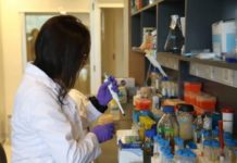 Francia investiga si la nicotina es capaz de frenar el coronavirus