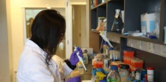 Francia investiga si la nicotina es capaz de frenar el coronavirus