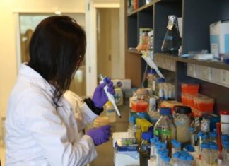 En busca del «mapa molecular» de resistencia a los antibióticos en Uruguay