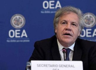 Almagro acepta renuncia de Calderón y le agradece por su trabajo en la MACCIH