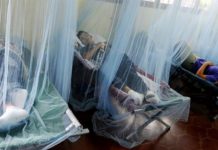 Honduras puede afrontar en 2020 epidemia de dengue más grave que la de 2019