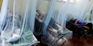 Honduras puede afrontar en 2020 epidemia de dengue más grave que la de 2019