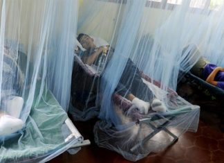 Honduras puede afrontar en 2020 epidemia de dengue más grave que la de 2019
