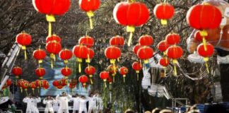 Argentina recibe el Año Nuevo Chino con música, comida y artes marciales