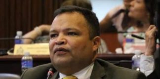 En el Congreso Nacional no hay voluntad para aprobar la segunda vuelta: Jari Dixon