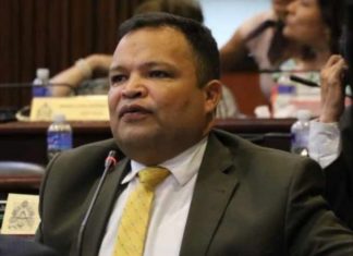 En el Congreso Nacional no hay voluntad para aprobar la segunda vuelta: Jari Dixon