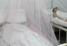 Honduras cerró 2019 con 180 muertos por dengue grave y 112 mil 708 enfermos