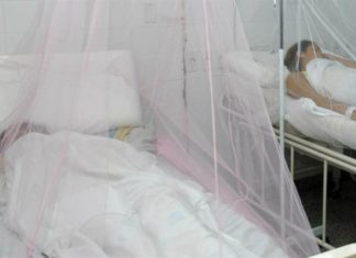 Honduras cerró 2019 con 180 muertos por dengue grave y 112 mil 708 enfermos