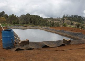 Invertirán 110 millones de lempiras en 2020 en construcción de reservorios de agua