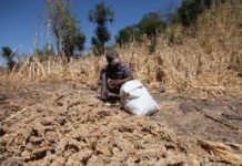 Pondrán en marcha plan de asistencia a 35 mil familias vulnerables en el Corredor Seco