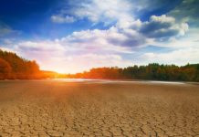 2019 fue el segundo año más cálido de la historia