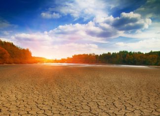 2019 fue el segundo año más cálido de la historia