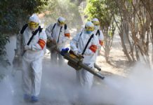 Científicos mexicanos trabajan en estrategias de detección del coronavirus