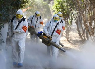 Científicos mexicanos trabajan en estrategias de detección del coronavirus