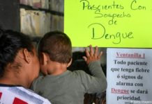 Secretaría de Salud confirma siete muertes por dengue