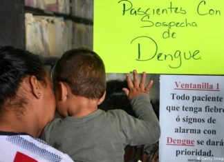 Secretaría de Salud confirma siete muertes por dengue