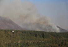 Incendio cerca de parque nacional es uno los más grande de historia de Chile