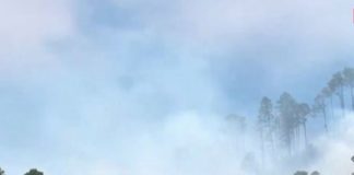 Se registra un voraz incendio forestal en el sector de El Chimbo, Francisco Morazán