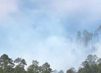 Se registra un voraz incendio forestal en el sector de El Chimbo, Francisco Morazán