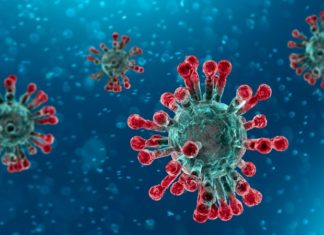 Se disparan acciones de farmacéutica con vacuna experimental del coronavirus