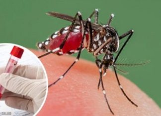 Una investigación permite detectar el dengue en diez minutos