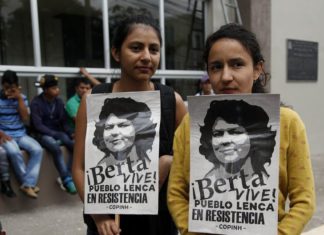 Observadores aún no ven justicia plena en crimen de ambientalista hondureña