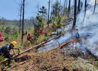 Bomberos y militares combaten incendio en montaña de Upare