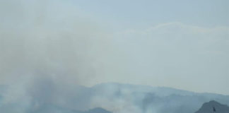 Presidente de Honduras pide a la población que denuncie a «criminales» que queman el bosque