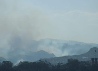 Presidente de Honduras pide a la población que denuncie a «criminales» que queman el bosque