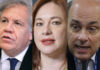 Llegan las elecciones de la OEA: ¿quiénes son los candidatos?