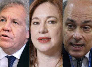 Llegan las elecciones de la OEA: ¿quiénes son los candidatos?